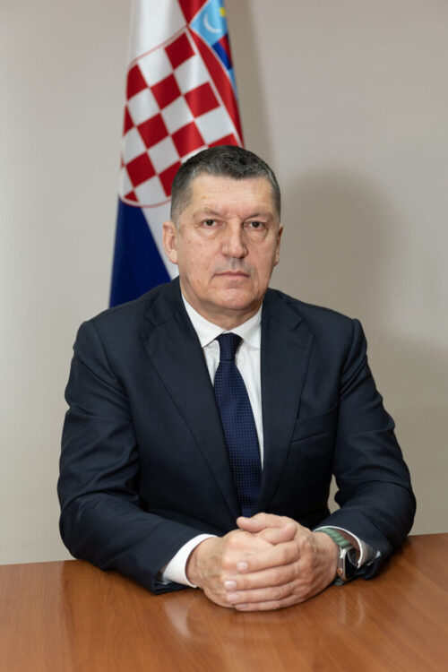 prof. dr. sc. Ivica Lučić